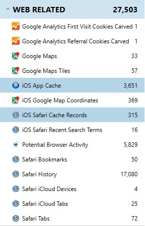 Web Cache and App Cache