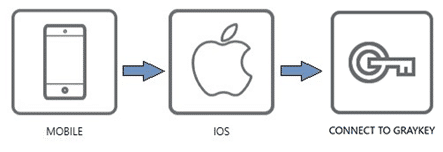 A diagram showing the workflow of mobile, to iOS, to Connect to GrayKey.