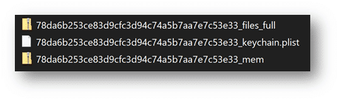 A screenshot of the Full Files, mem, and plist containers for GrayKey extractions of iOS full file system images.