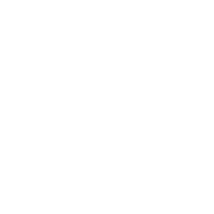 Managing Partner, ​CYBIR