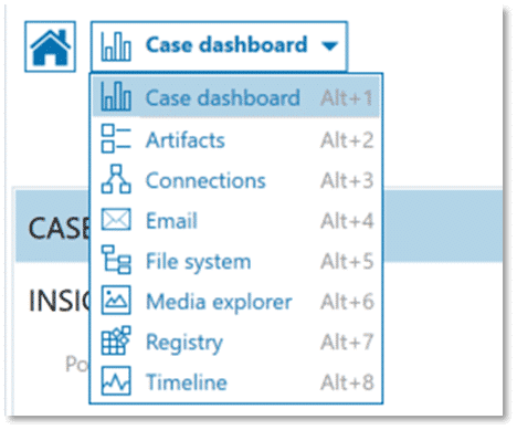 Explorer options in AXIOM Examine