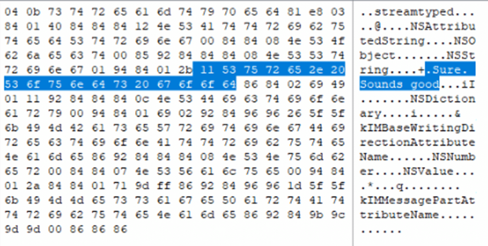 A screenshot of an embedded binary plist file found within the message_summary_info column.