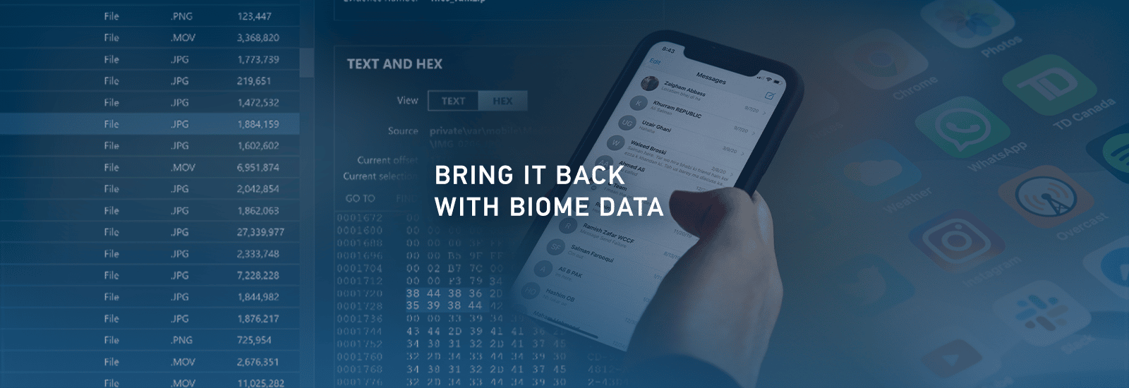 Bring It Back With Biome Data