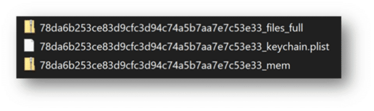 A screenshot showing the full files, mem and .plist containers for GrayKey extractions.