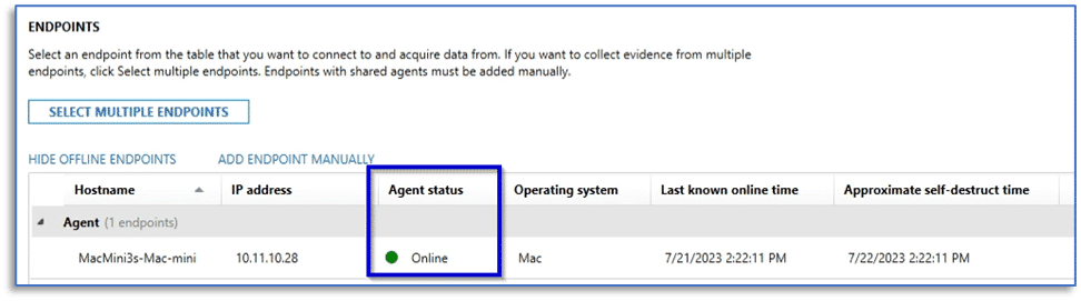 A screenshot of the Endpoints window in AXIOM Process showing the agent status as Online.