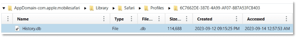 A screenshot showing the "History.db" location in Magnet AXIOM.