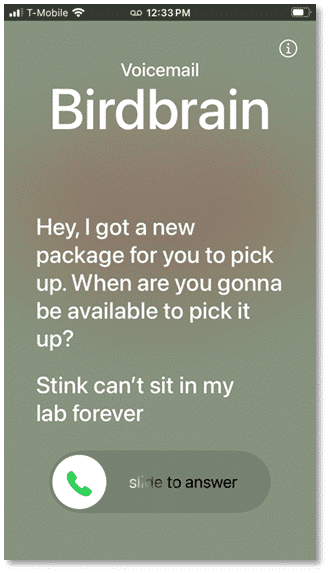 A screenshot of a FaceTime voicemail being transcribed on the lock screen of an iPhone.