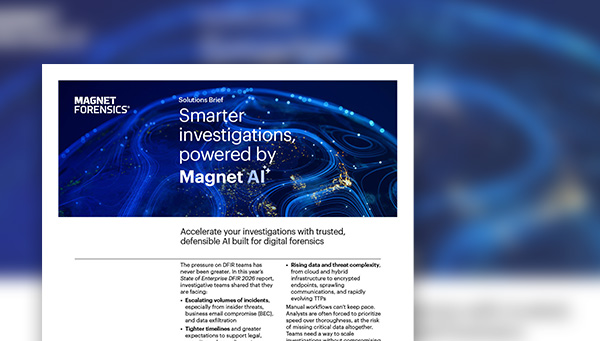 Solutions Brief: Smarter investigations powered by Magnet.AI